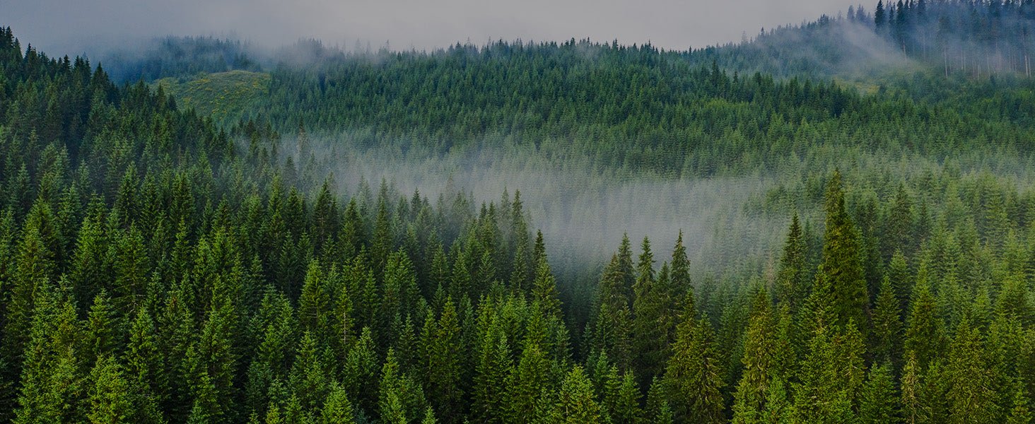 Kollea Whiskey Decanter, Best Gift for Army Man