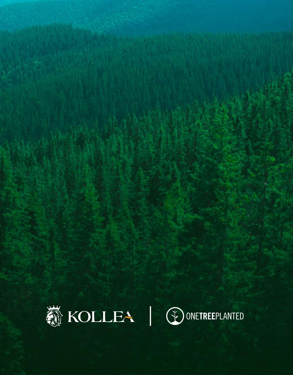 KOLLEA SUSTAINABILITY-One Tree Planted 